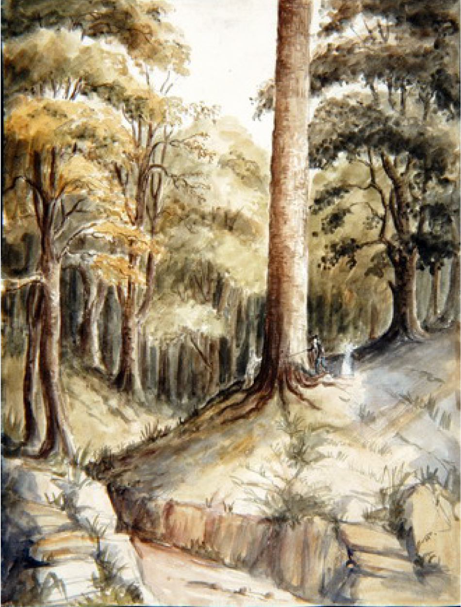 The Great Tree, Penang