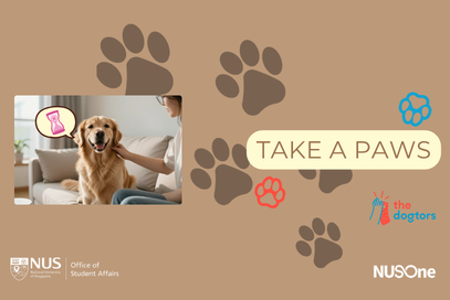 Pawsibility