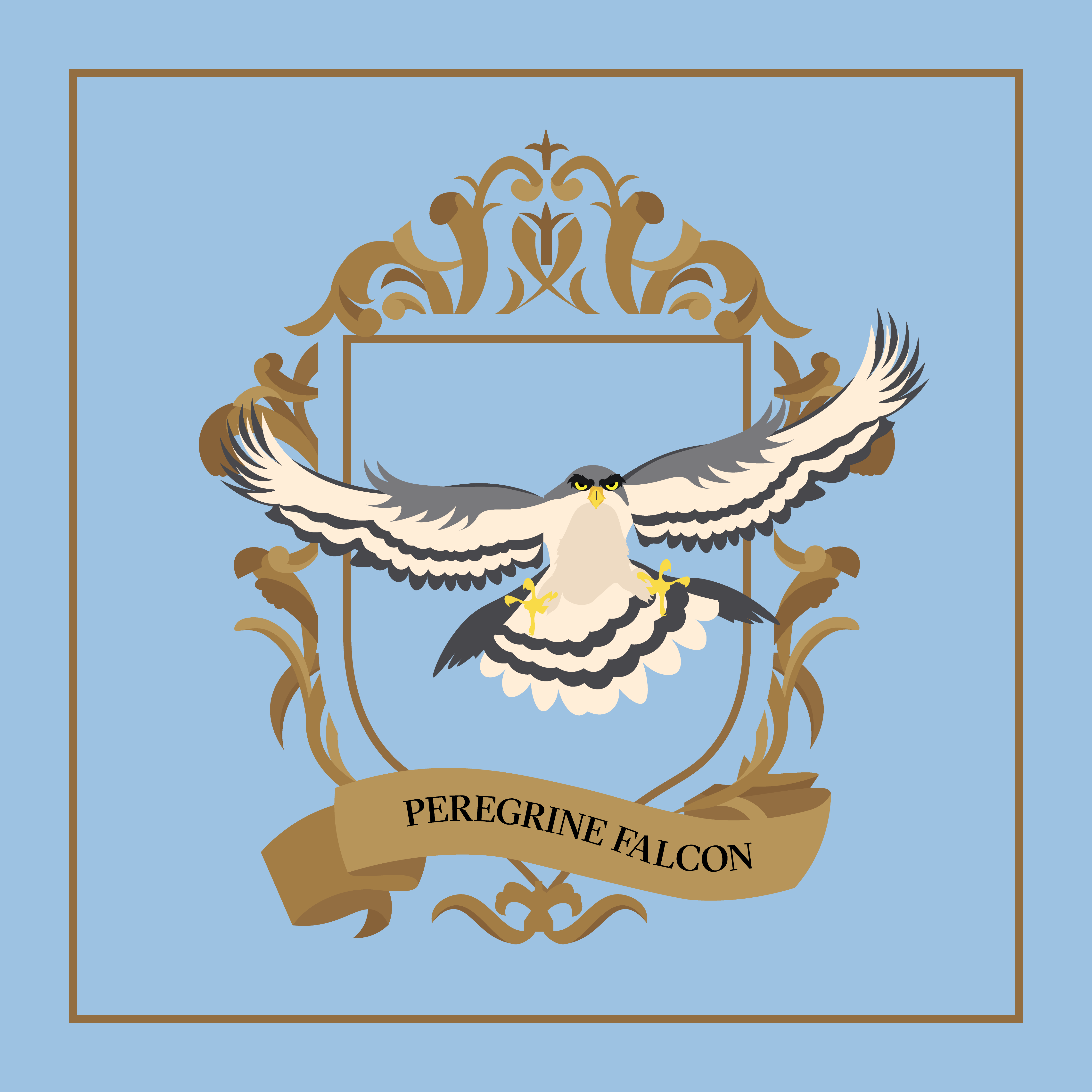 Peregrine Falcon