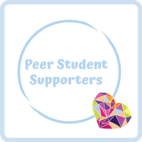 Peer Student Supporters