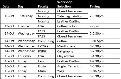 Wellness Festival Workshops
