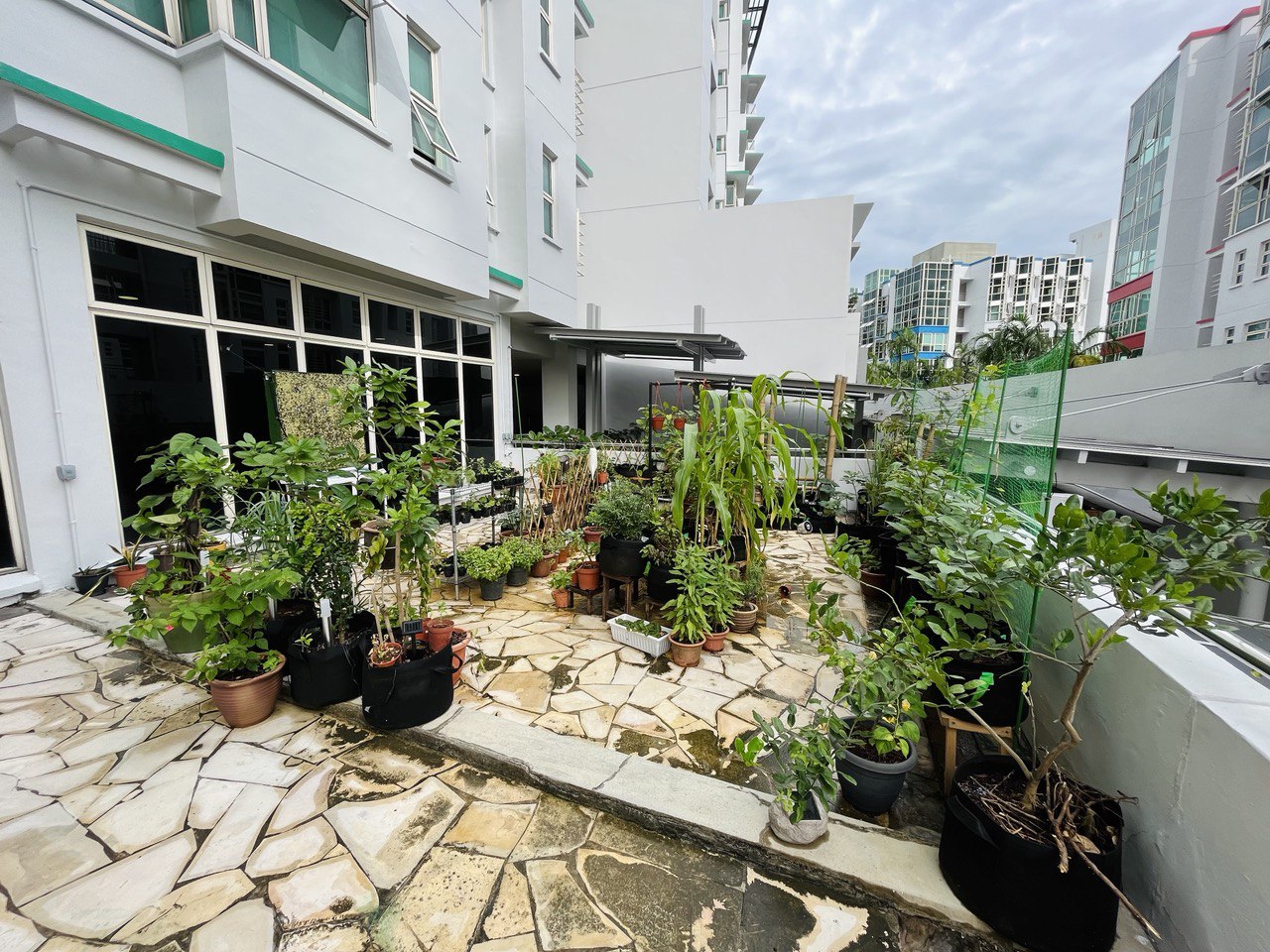 Green Corner at PGPR