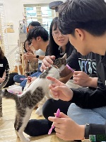 PGPR Cat Cafe: 30 and 31 March 2024