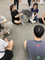 PGPR Dog Therapy: 4 November 2023