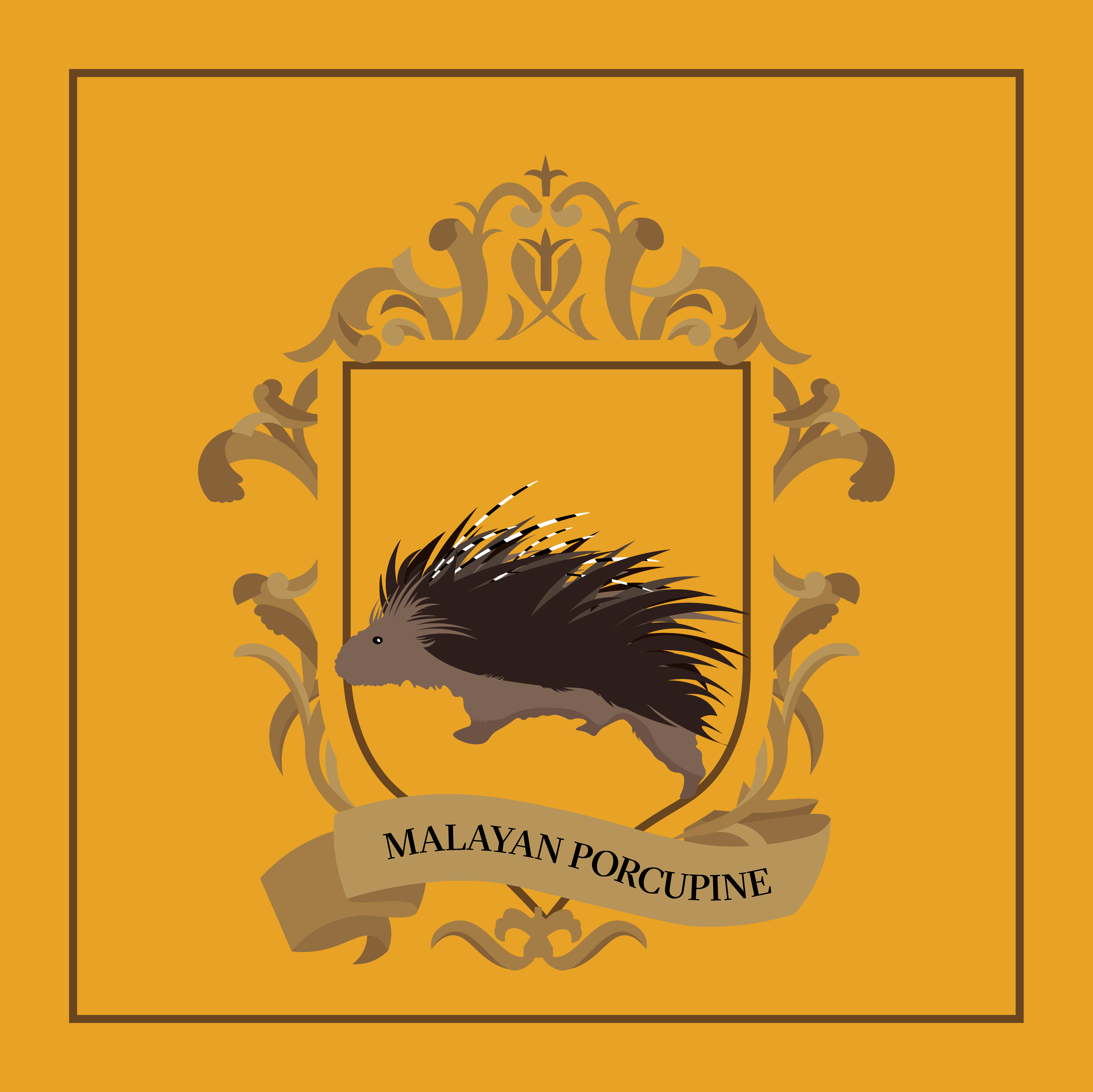 Malayan Porcupine
