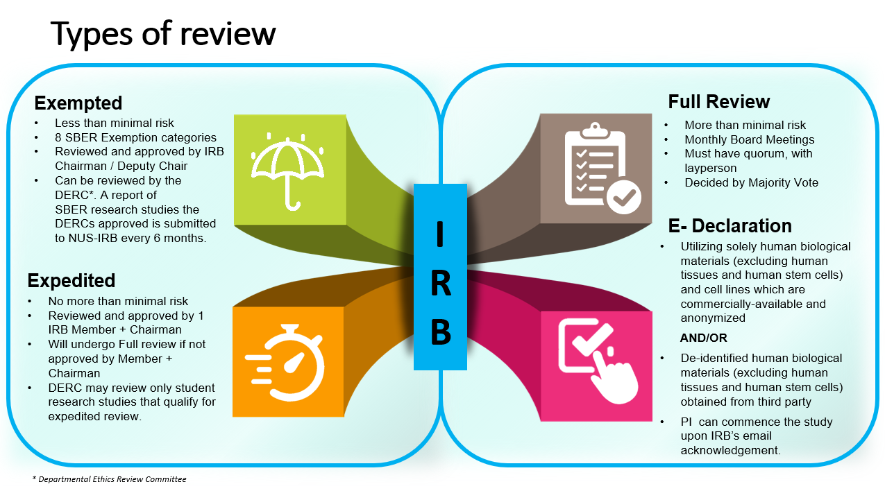 Type of Review (infograph)