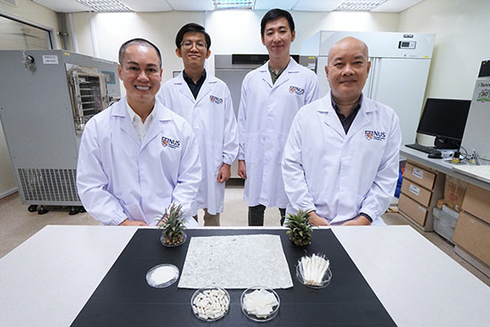 NUS researchers upcycle pineapple leaves into low-cost fat trappers