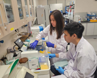 MVP Studio lab (Resized)