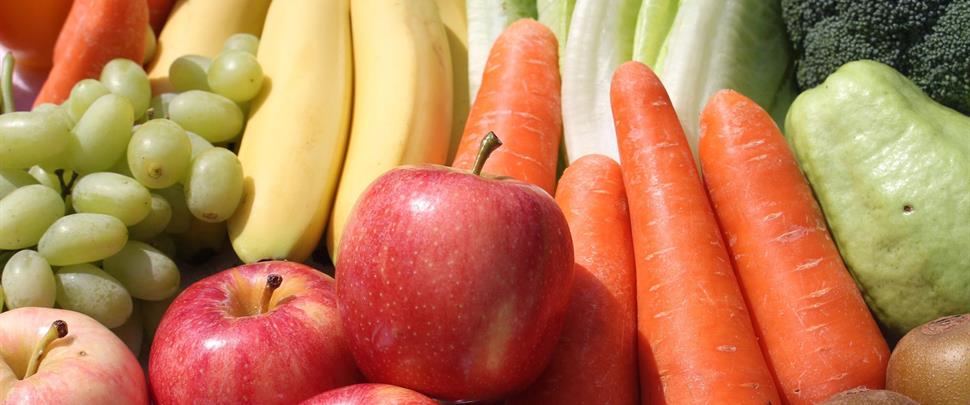 1050_images_bannerimage 1050_images_bannerimage