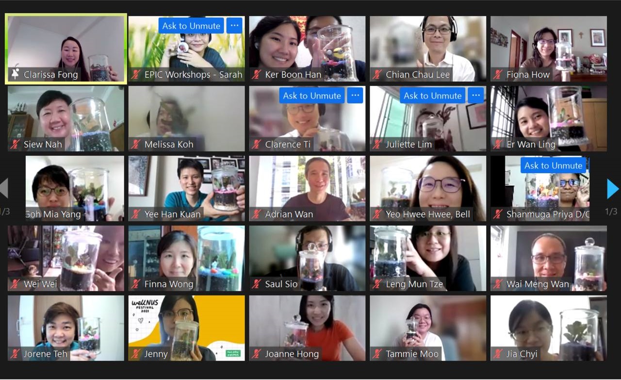 3. Terrarium workshops