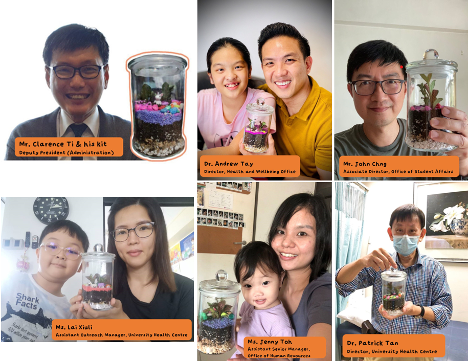 3b. Terrarium workshop